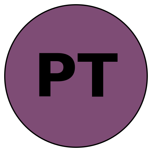 PractiTravels